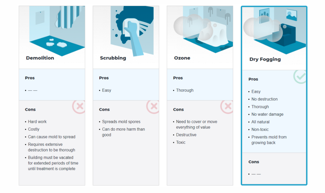 Comparison chart for removing mold