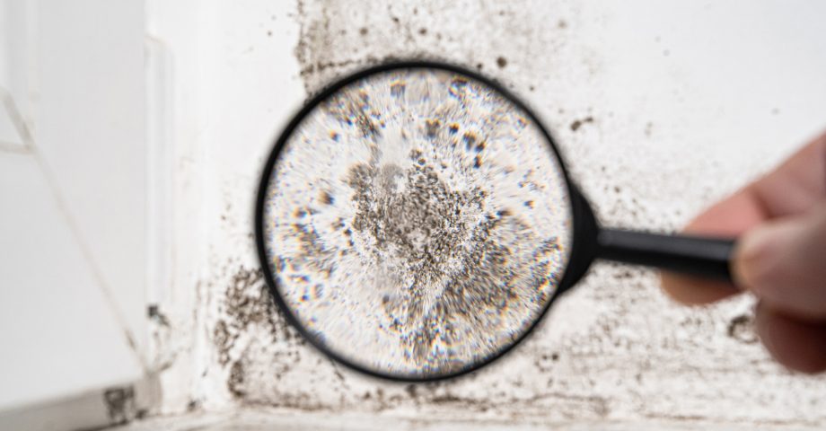 iStock-1304694347-1