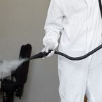 Choosing the Right Mold Remediation Company