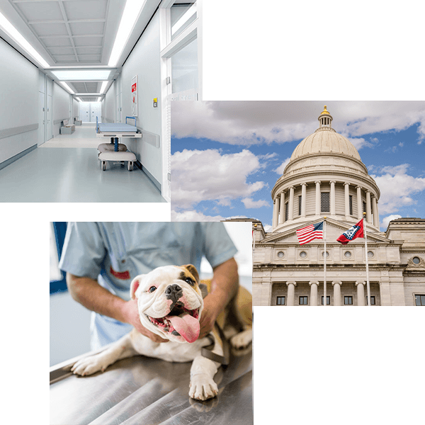 Pure Air Enterprises can help with Government and Medical Facilities keeping the air fresh and location mold free