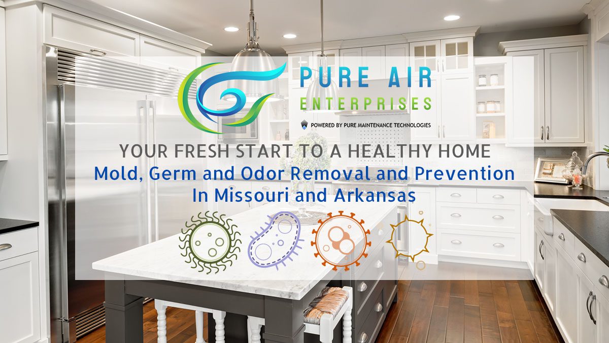Photo inspiration: Visual Reference: Germ Odor Mold Removal Prevention In Missouri Arkansas