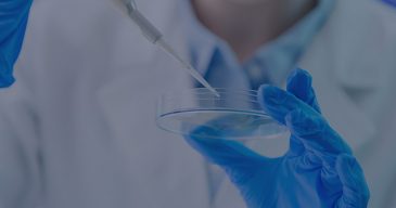 Air Quality Testing Services